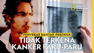 Misteri Banyak Perokok Tak Kena Kanker Paru Terpecahkan  National Geographic Indonesia [upl. by Almap]