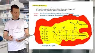 Die HexokinaseReaktion  Glykolyse und Gluconeogenese 522 [upl. by Ashbaugh]