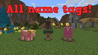 All special name tags in minecraft [upl. by Anaimad]