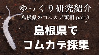 【ゆっくり研究紹介】島根県でコムカデ採集＿島根県のコムカデ類相③ [upl. by Eneryt]