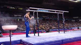 Danell Leyva  Parallel Bars  2013 ATampT American Cup [upl. by Afrika524]