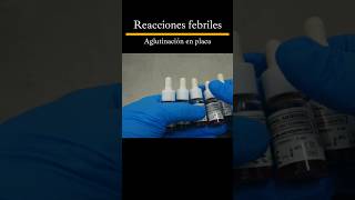 Como hacer las reacciones febriles laboratorioclinico tutorial shorts [upl. by Etnahsa]