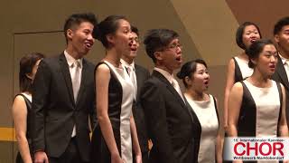 ONE Chamber Choir Singapur Ich will dich lieben meine Krone ICCC MARKTOBERDORF 2017 [upl. by Ailekahs]