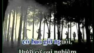 Đoàn Giải Phóng Quân [upl. by Ailak]