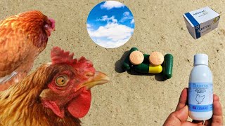 Important Winter Medications for Chickens  Arinac  Vibramycin  Enrosym  Dr ARSHAD [upl. by Kalindi468]