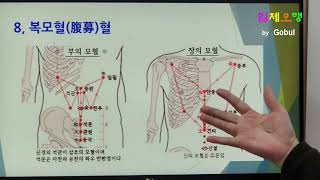 22 3특수기능혈극혈팔맥교회혈하합혈배수혈복모혈경락경혈침자리고불침자리 [upl. by Boff220]