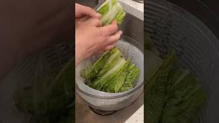 Easy Meal Prep Hacks How to Wash and Store Romaine Lettuce weightlossjourney [upl. by Merrili]