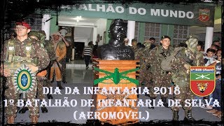 Dia da Infantaria 2018 1ºBIS Amv [upl. by Wheeler854]