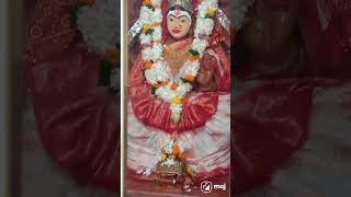 maalo laxmi maa🙏🙏shortvideo youtube trendingshorts 🙏🙏❤️❤️ [upl. by Umeko]