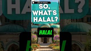 Unveiling the Importance of Halal [upl. by Ause928]