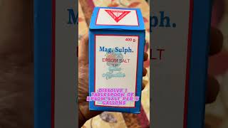 How Epsom Salt Enhance Fish Health  Blue Aquatics 💙 shortvideos shorts [upl. by Inalaek397]