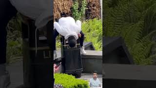 Looking nothing at in bin prank funny shortvideo ytshort [upl. by Ashwell]