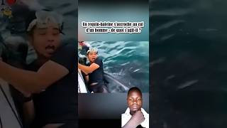 un requinbaleine saccroche au cul dun homme de quoi sagit il  creative tiktok video shorts [upl. by Varian]