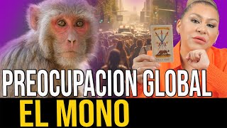 ALERTA MUNDIAL POR EL MONO ESTOS PAISES SE VERAN AFECTADOS [upl. by Naima51]