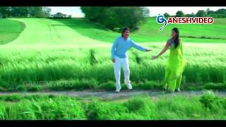 Don Songs  Neekai Nenu  Akkineni Nagarjuna Anushka Shetty  Ganesh Videos [upl. by Niwle131]