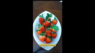 How to grow Strawberries from Seed  Seed to Harvest  Leenas Bag of Surprises  shorts [upl. by Kirsteni]