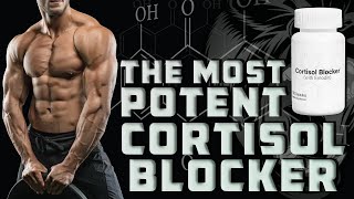 Cortisol Blockers  GR And Unaddressed Vectors Of Muscle Growth [upl. by Ecirahc]