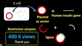 Steps in Recombinant DNA Technology or rDNA technology  Biotechnology [upl. by Etezzil343]