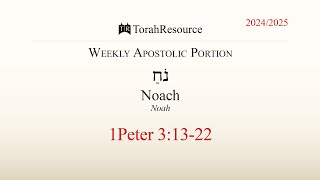 The Weekly Apostolic Portion  Noach  Noah [upl. by Natan371]