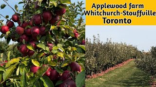 Applewood farm  WhitchurchStouffville Ontario Apple farm Apple farm nearby Scarborough Toronto [upl. by Myk]