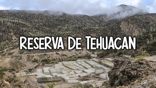 Minas de Sal y la tumba de Cuthá  Tesoros de la Reserva de Tehuacán [upl. by Attenev]