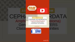 CepalochordataBranchiostomaAmphioxusGeneral characterAffinitiesCUET EXAMNEETTGTPGTNURSING [upl. by Hada]