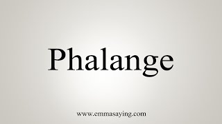 How To Say Phalange [upl. by Burnie759]