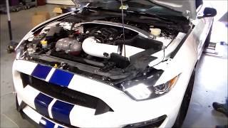 2016 GT350 JLT Performance dyno test [upl. by Leynad586]