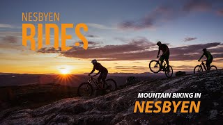 MTB Mountain biking in Nesbyen Norway [upl. by Lleznov425]