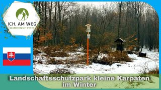 Landschaftsschutzpark kleine Karpaten im Winter [upl. by Wavell]