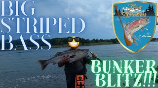 CAPE COD CANAL big stripers on GLIDERS CRAZY BUNKER BLITZ [upl. by Atal]