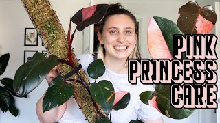 Philodendron Pink Princess Care 💖👸🪴 PPP Tips amp Tricks [upl. by Kruse510]