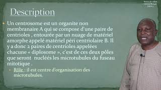 IFM 1A Biologie leçon4 Notion de cellule suite [upl. by Hamford]