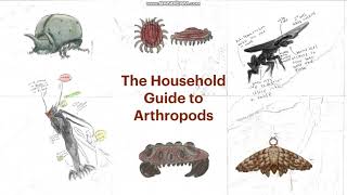 The Household Guide to Arthropods Official Bumper Video [upl. by Maurits18]