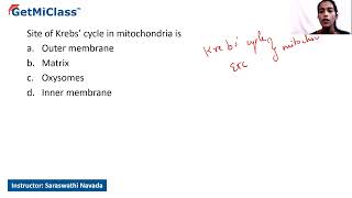 Site of krebs cycle  KCET 11th Biology Respiration in Plants [upl. by Rukna]