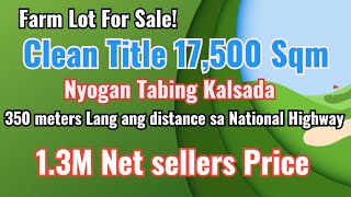 Sold V142 👉Clean title 17 hectares Farm lot for sale Near maharlika highway amp tabing kalsada [upl. by Flinn]