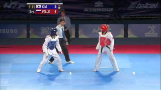 2013 WTF World Taekwondo Championships Final  Female 46kg [upl. by Rickart]