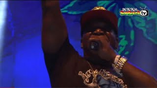 Barrington Levy  Live at Rototom Sunsplash 2015 Full Concert HD [upl. by Panayiotis]