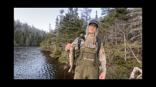 Newfoundland Trout Fishing [upl. by Leclair]