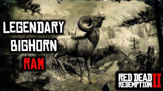 Legendary Bighorn RAM in RDR2 Location [upl. by Nivlad]