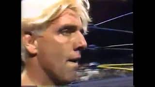 WCW Flair Arn Windham vs Sting Flyin Brian and El Gigante WCW May 1991 [upl. by Uhp]