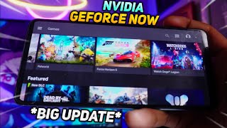 Nvidia Geforce Now BIG UPDATE  New Games Added  Palworld  Forza Horizon 5 Gameplay [upl. by Rann]