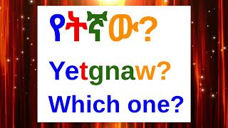 How To Say quotWhich Onequot In AmharicAmharic Phrases For BeginnersአማርኛእንግሊዝኛAmharic LessonAmharic [upl. by Lodge594]