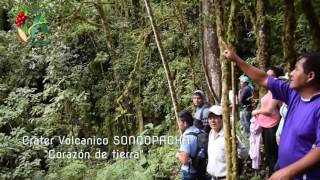 LAS PIRIAS  JAÉN TOURS ECOTURISTICO “Recorrido hacia el Bosque de Piedras” [upl. by Obla]