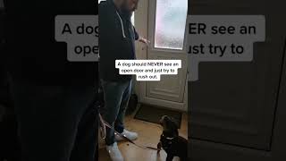 DOG TRAINING TIPS 🚨dog ddk9 dogtraining reels dogsofinstagram viralvideo viral 9 [upl. by Maxey]