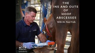 The Ins and Outs of Hoof Abscesses with Dr Neal Valk [upl. by Adnirem]