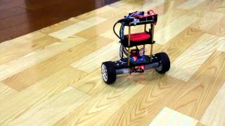 2 Wheel Self Balancing Robot [upl. by Ennasor]