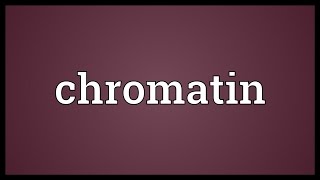 Chromatin Meaning [upl. by Knepper]