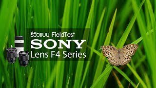 รีวิวแบบ Fieldtest Sony Lens F4 Series by พี่โก๊ะ กล้องกล้วยกล้วย [upl. by Ynabe888]