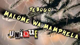 malome wa mamphela  Brian Bomba  Mix  Tebogo [upl. by Phenice71]